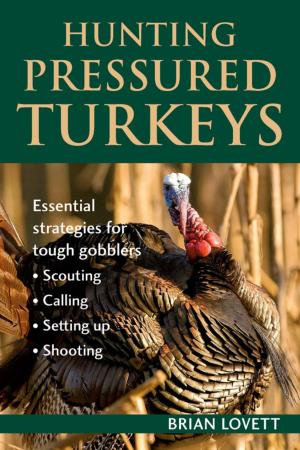 Book cover of Hunting Pressured Turkeys