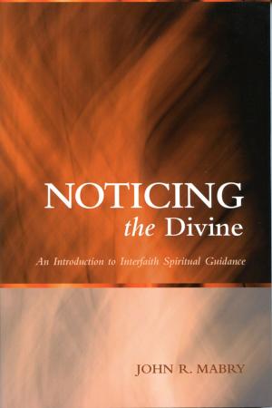 Cover of the book Noticing the Divine by Jerome W. Berryman