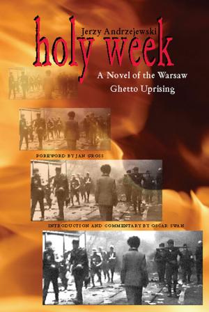 Cover of the book Holy Week by J.D. Lewis-Williams
