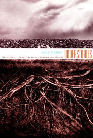 Book cover of Understories