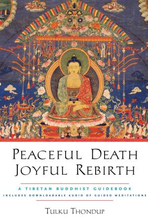 Cover of the book Peaceful Death, Joyful Rebirth by Ken Wilber