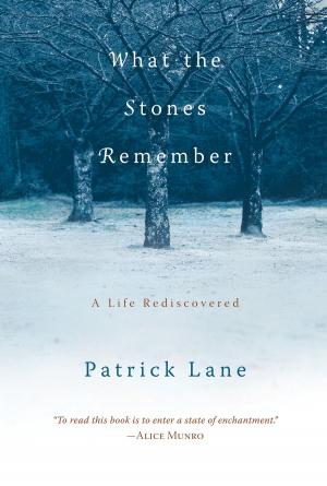 Cover of the book What the Stones Remember by Laraine Herring