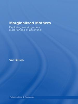 Book cover of Marginalised Mothers