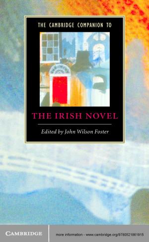 Cover of the book The Cambridge Companion to the Irish Novel by Professor Tae-Ung Baik