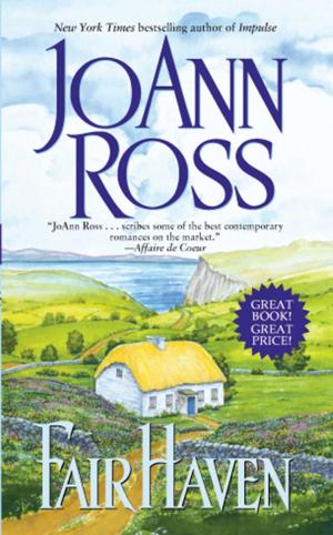 Cover of the book Fair Haven by Jenny Randles