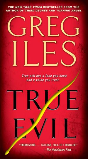 Cover of the book True Evil by Stephen King