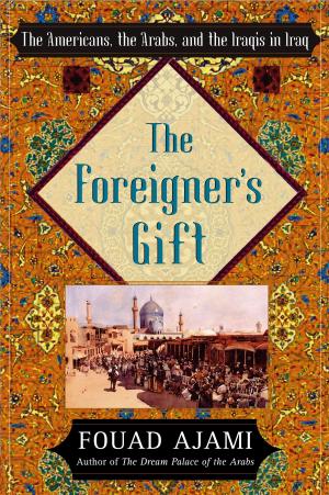 Book cover of The Foreigner's Gift