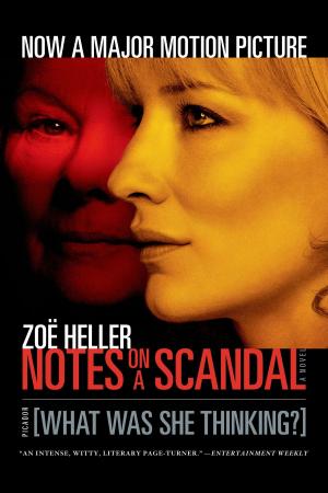 Cover of the book Notes on a Scandal by Ellen Ullman