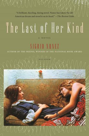 Cover of the book The Last of Her Kind by Lois-Ann Yamanaka