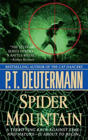 Book cover of Spider Mountain