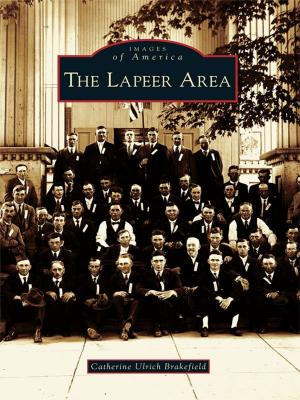 Cover of the book The Lapeer Area by Patricia A. Favata