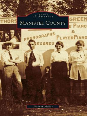 Cover of the book Manistee County by Dr. Donna M. DeBlasio, Dr. Martha I. Pallante