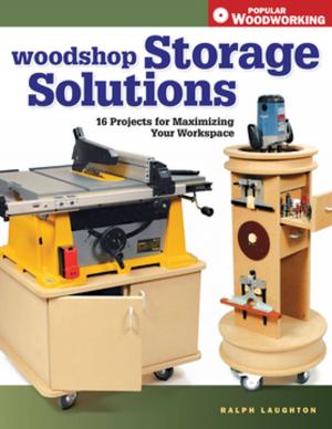 Cover of the book Woodshop Storage Solutions by Julie Fei-Fan Balzer