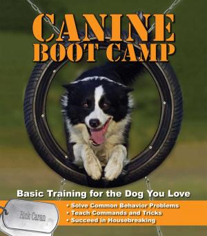 Cover of the book Canine Bootcamp by Jo A. Panyko, BS, MNT