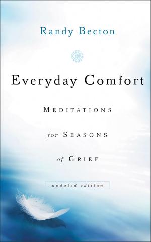 Cover of the book Everyday Comfort by Karen Ehman, Glynnis Whitwer