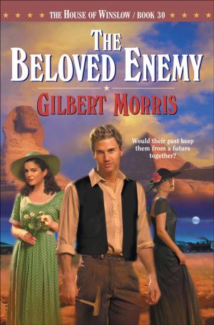Cover of the book Beloved Enemy, The (House of Winslow Book #30) by Becky Wade