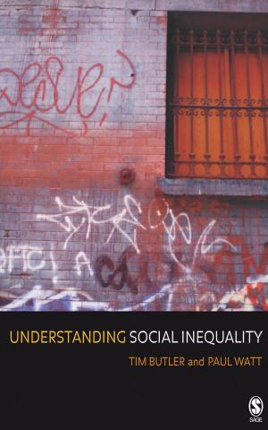 Book cover of Understanding Social Inequality