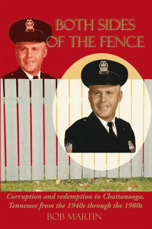 Cover of the book Both Sides of the Fence by Nicholina Tichy
