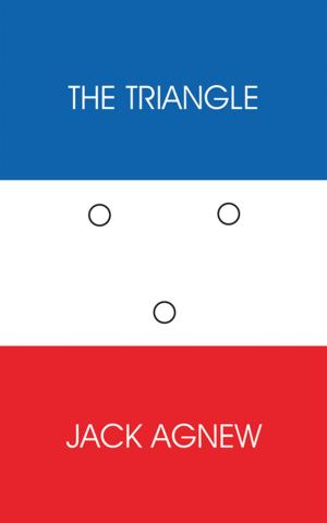 Cover of the book The Triangle by Gary W. Neidhardt
