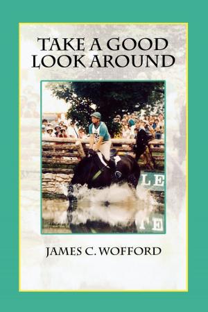 Cover of the book Take a Good Look Around by John F. Galliher