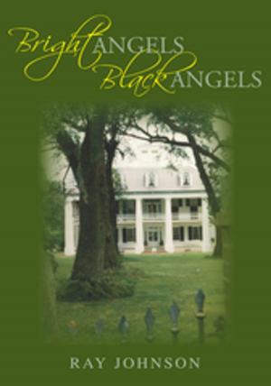 Book cover of Bright Angels - Black Angels