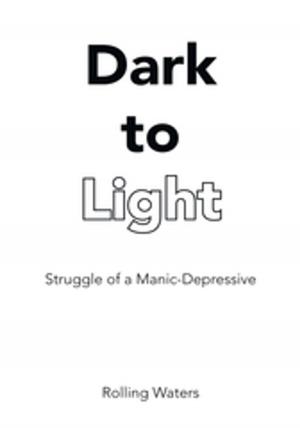 Cover of the book Dark to Light by Pat Hays