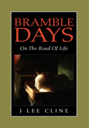 Book cover of Bramble Days - on the Road of Life