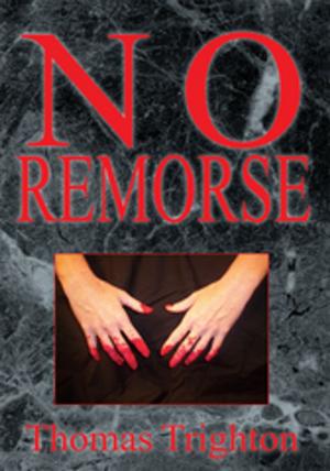 Cover of the book No Remorse by E.C. Croslin