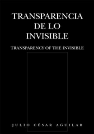Cover of the book Transparencia De Lo Invisible by Oruonye Samuel