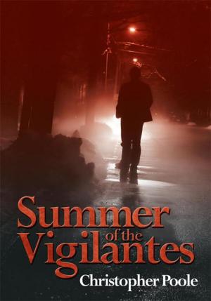 Cover of the book Summer of the Vigilantes by S.A. Stitz