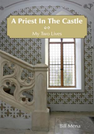 Cover of the book A Priest in the Castle by Anthony Wolff