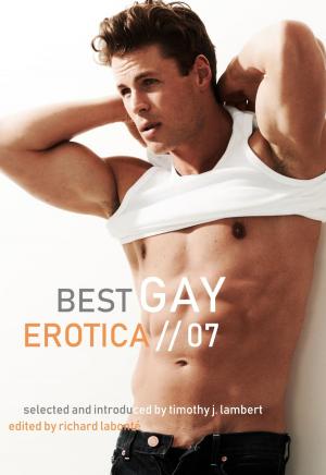 Cover of the book Best Gay Erotica 2007 by James Lear