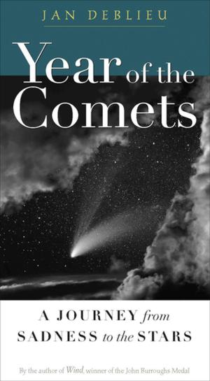 Cover of the book Year of the Comets by Deb Olin Unferth, Elizabeth Haidle