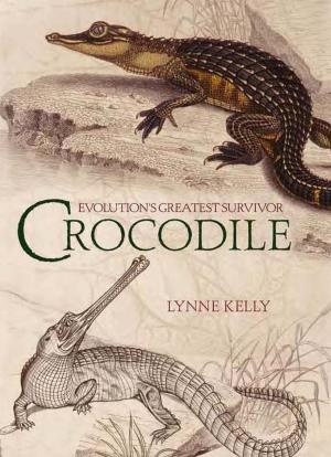 Book cover of Crocodile