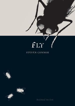 Cover of the book Fly by Gay Watson