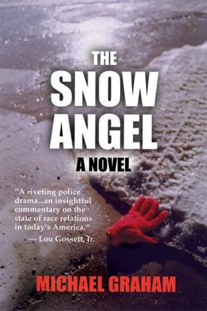 Cover of the book The Snow Angel: A Novel by Yehuda Nir