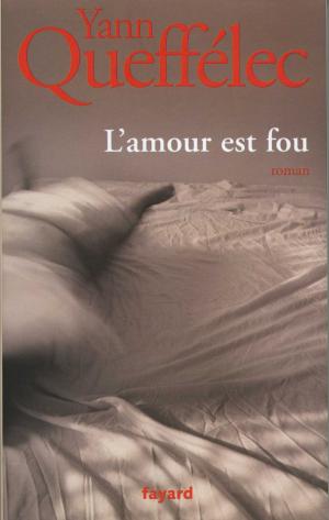 Cover of the book L'Amour est fou by Xavier Monnier