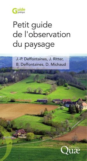 Book cover of Petit guide de l'observation du paysage