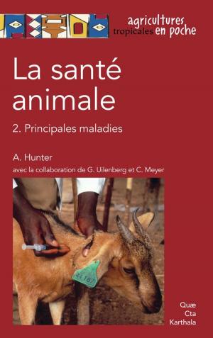 Cover of the book La santé animale by Philippe Clergeau