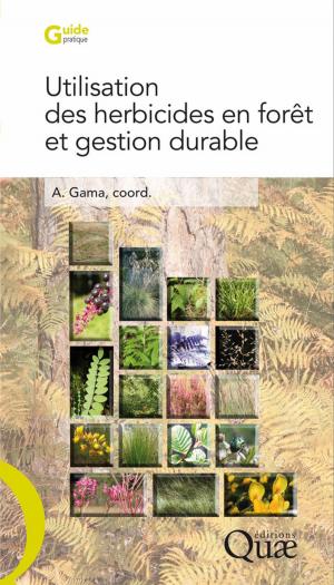 Cover of the book Utilisation des herbicides en forêt et gestion durable by Jean-Luc Baglinière, Gérard Maisse