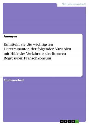Cover of the book Ermitteln Sie die wichtigsten Determinanten der folgenden Variablen mit Hilfe des Verfahrens der linearen Regression: Fernsehkonsum by Christoph Meyer