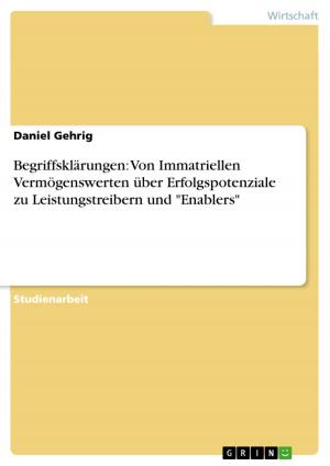 Cover of the book Begriffsklärungen: Von Immatriellen Vermögenswerten über Erfolgspotenziale zu Leistungstreibern und 'Enablers' by Nikias Klohr