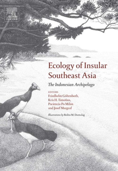 Cover of the book Ecology of Insular Southeast Asia by , Elsevier Science