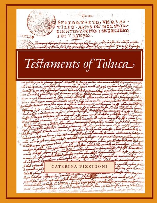 Cover of the book Testaments of Toluca by , Stanford University Press
