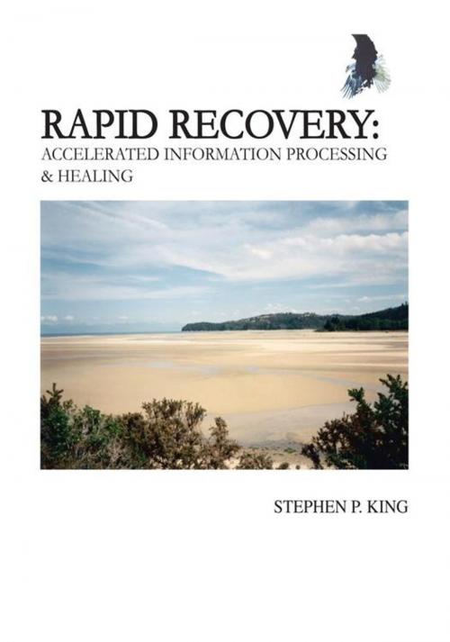Cover of the book Rapid Recovery by Stephen P. King, Trafford Publishing