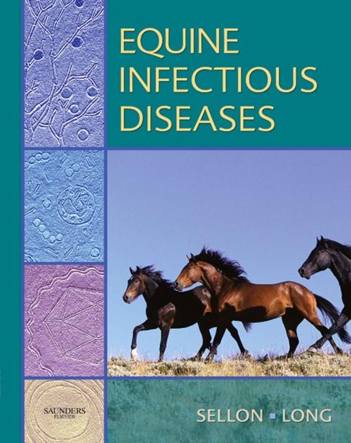 Cover of the book Equine Infectious Diseases E-Book by Debra C. Sellon, DVM, PhD, DACVIM, Maureen Long, DVM, PhD, DACVIM, Elsevier Health Sciences