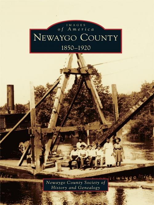 Cover of the book Newaygo County by Newaygo County Society of History and Genealogy, Arcadia Publishing Inc.
