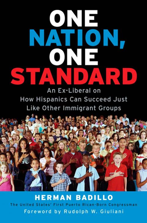 Cover of the book One Nation, One Standard by Herman Badillo, Penguin Publishing Group