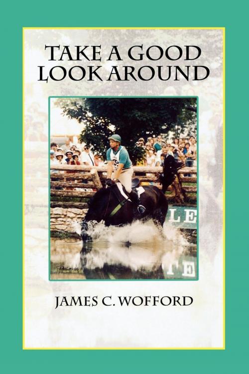 Cover of the book Take a Good Look Around by James C. Wofford, Hamilton Books