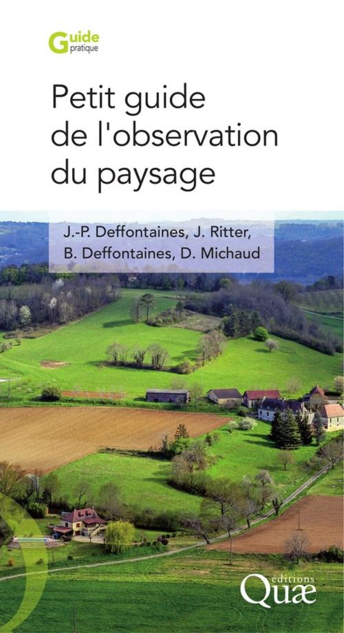 Cover of the book Petit guide de l'observation du paysage by Denis Michaud, Jean Ritter, Benoit Deffontaines, Jean-Pierre Deffontaines, Quae
